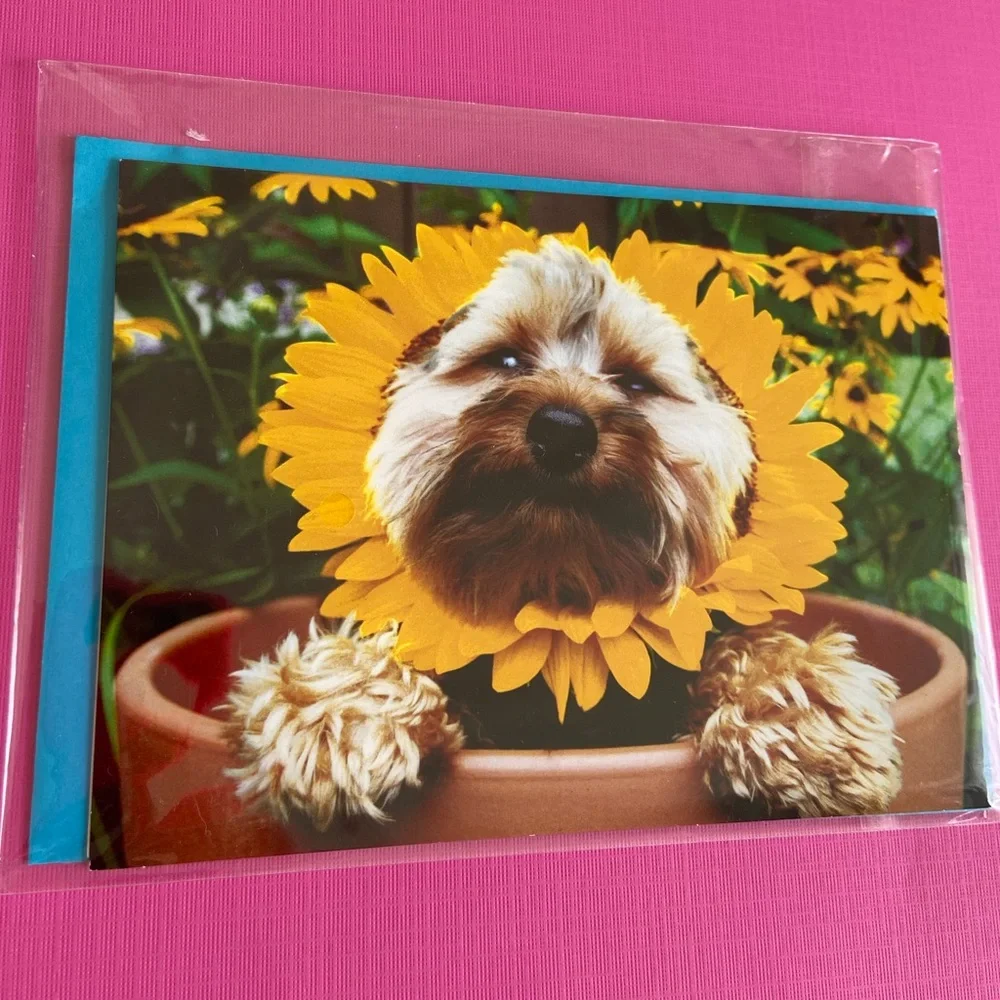 NWT! Lot of 3 greeting cards. Assorted designs. New in packaging.